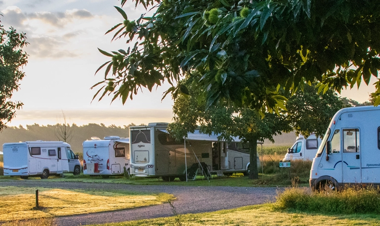 Flächendeckendes WLAN für Campingplätze